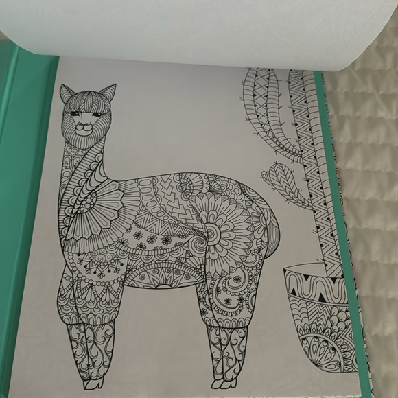 Coloring book - Picture 4 of 8